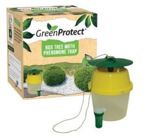 GREEN PROTECT BOX TREE MOTH FUNNEL TRAP