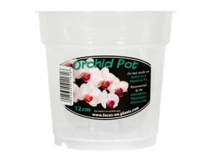 GROWTH ORCHID POT CLEAR