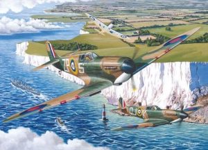 The Final Few Jigsaw 500 Piece HP0755