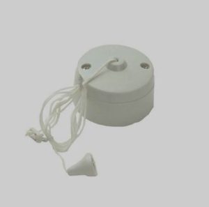 Ceiling Switch 6 Amp 1 Way PPSWCL1W