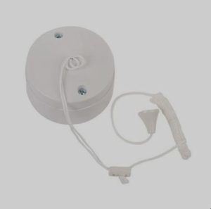 BG CEILING SWITCH 6 AMP 2 WAYz