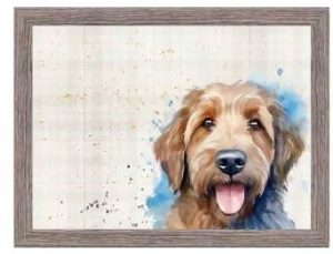 Lap Tray Labradoodle