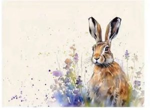 Placemats x 6 Meadow Hare