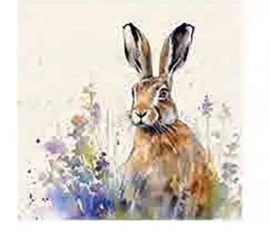 Coasters x 6 Meadow Hare