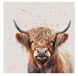 Coasters x 6 Highland Cow HH3694
