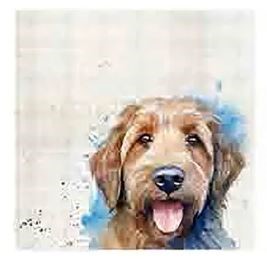 Coasters x 6 Labradoodle