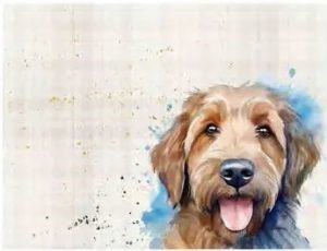 Placemats x 6 Labradoodle HH3909