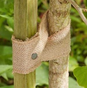 5.5m JuteWeb Plant Tie