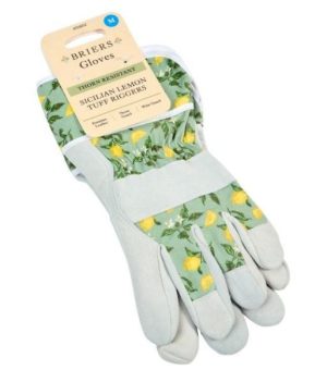 Sicilian Lemon Premium Lightweight Rigger M8