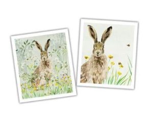 National Trust Hare Plant Based Set of 2 Cleaning Cloths