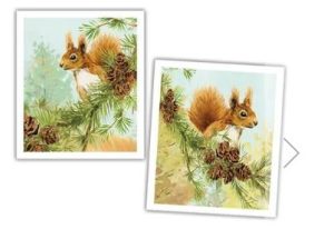 National Trust Red Squirrel Plant Based Set of 2 Cleaning Cloths