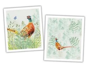 National Trust Pheasant Plant Based Set of 2 Cleaning Cloths