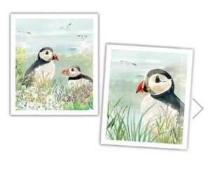National Trust Puffin Plant Based Set of 2 Cleaning Cloths