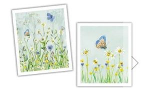 National Trust Butterfly Plant Based Set of 2 Cleaning Cloths