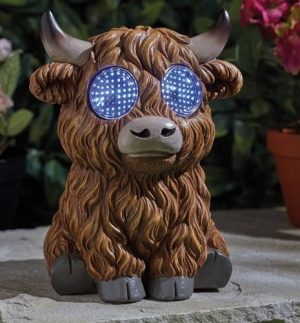 Blinkin’ Highland Cow