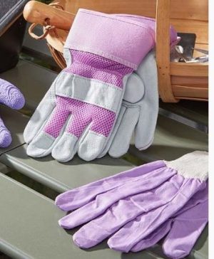 Ladies Multi Use M8 Triple Pack