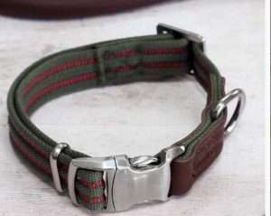Primo – Olive – L – Walkabout Dog Collar (43cm-71cm)