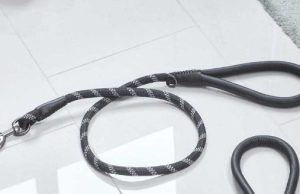 Primo – Jet Walkabout Reflective Dog Lead (120 x 2cm)