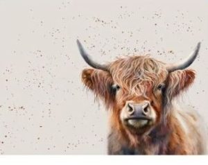 Placemats x 6 Highland Cow